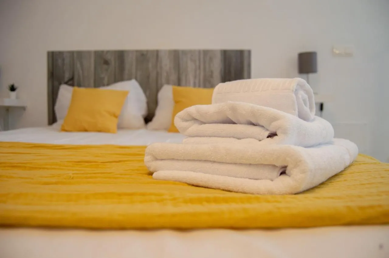 Novam Loft Terrace Centro Malaga Apartment Spain
