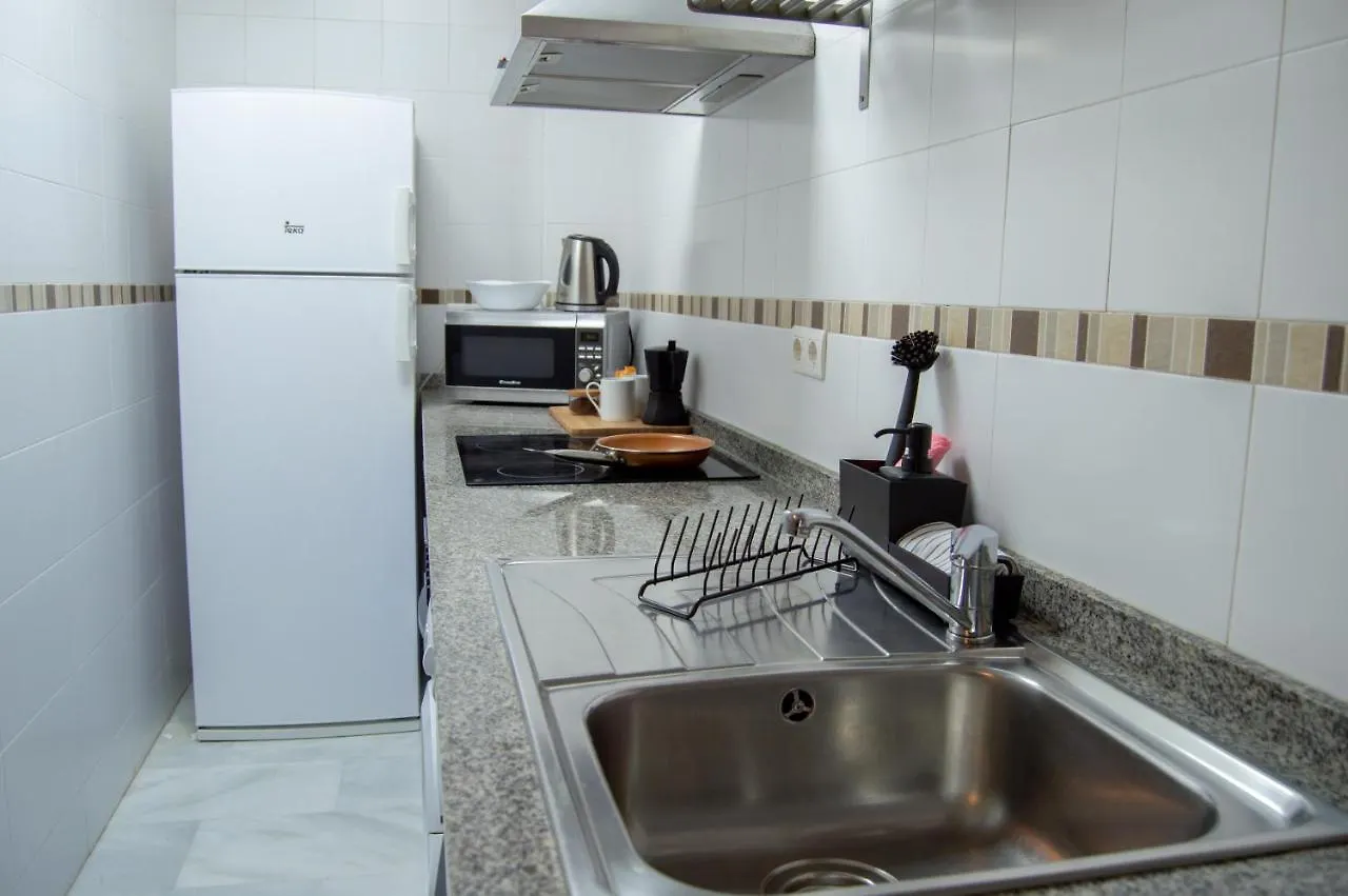 Novam Loft Terrace Centro Malaga Apartment