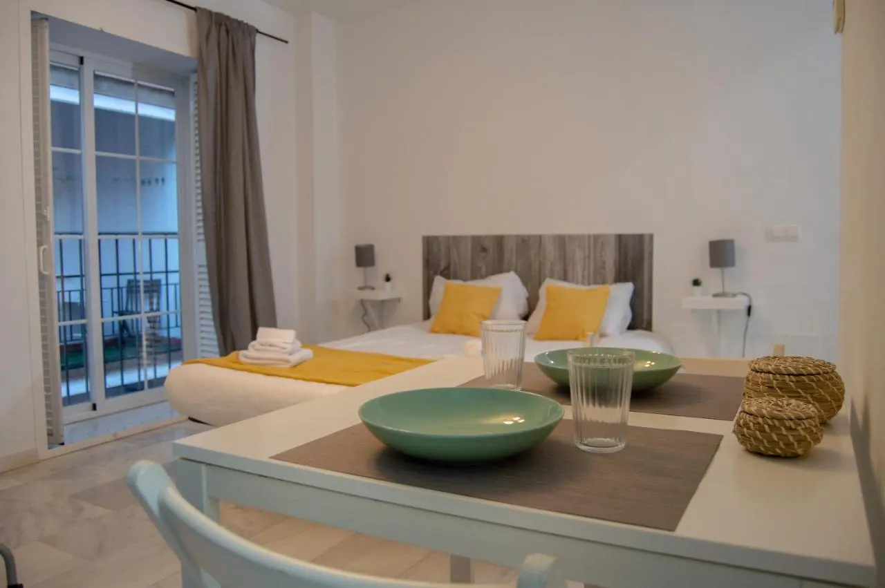 Novam Loft Terrace Centro Malaga Apartment